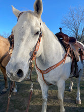 Load image into Gallery viewer, Headstall - Floral Painted
