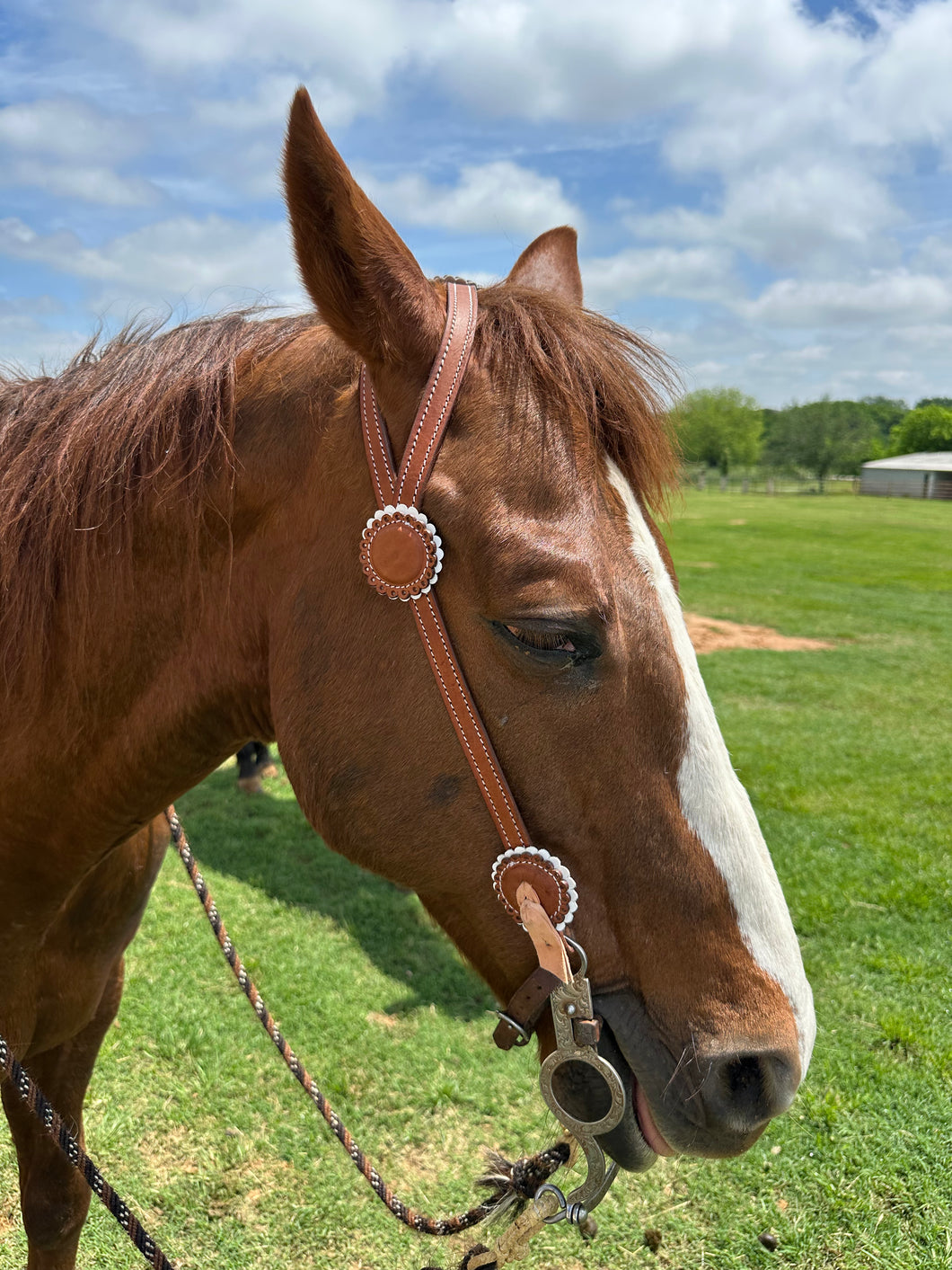 Headstall - Galleta Round