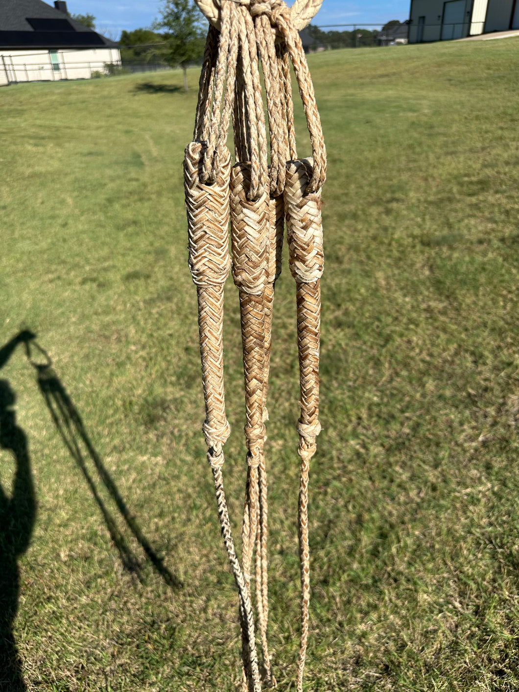 Quirt Rawhide