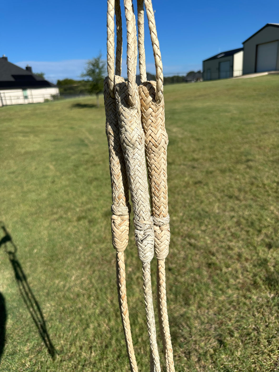 Quirt White Rawhide