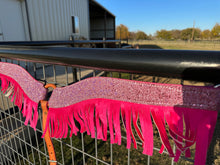 Load image into Gallery viewer, Breast Collar Flashy Fringy Pink
